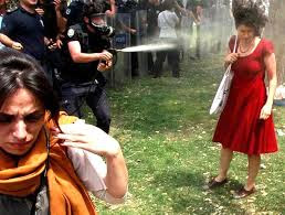 gezi